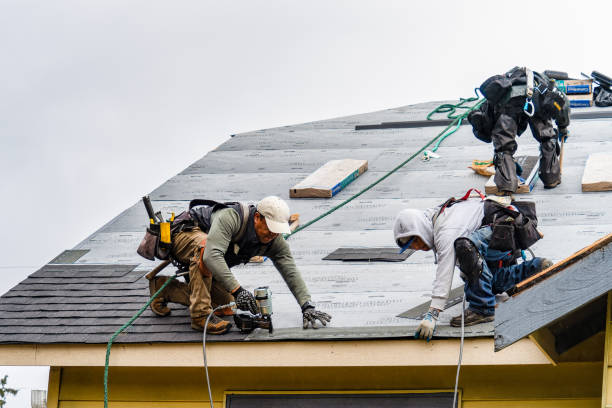 Professional Storm Damage Roof Repair technician working in Bronson, FL